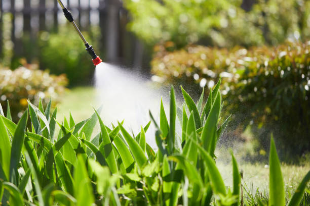 24/7 Emergency Mosquito Control experts in Boardman, OR